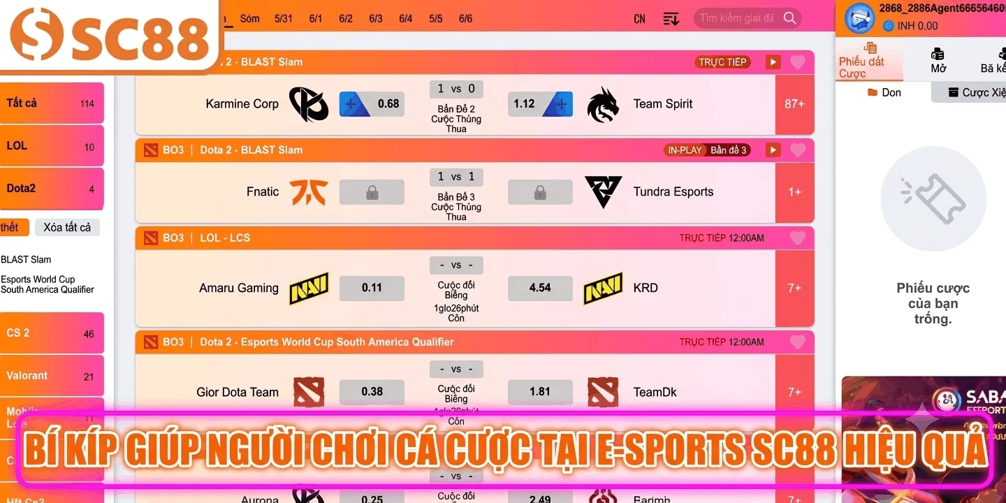 Bí kíp giúp người chơi cá cược tại E-sports SC88 hiệu quả