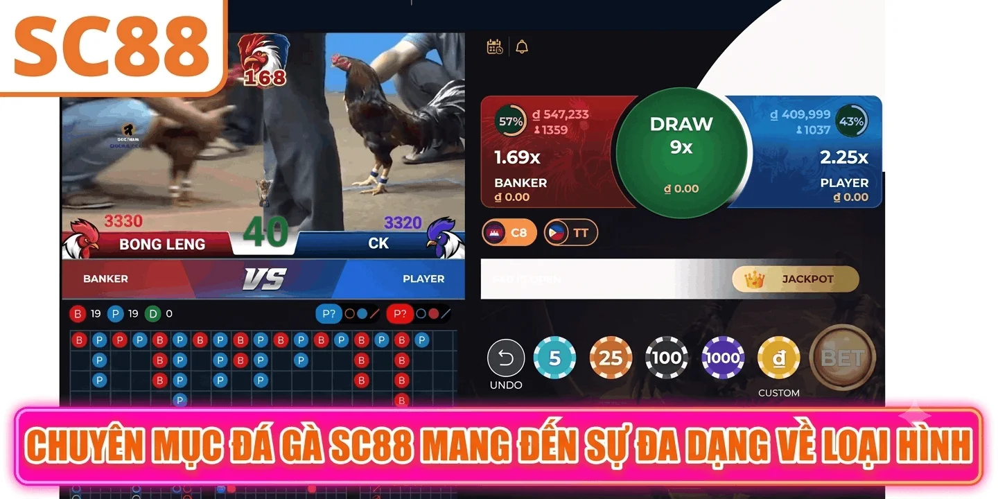 Chuyên mục đá gà SC88 mang đến sự đa dạng về các loại hình cá cược